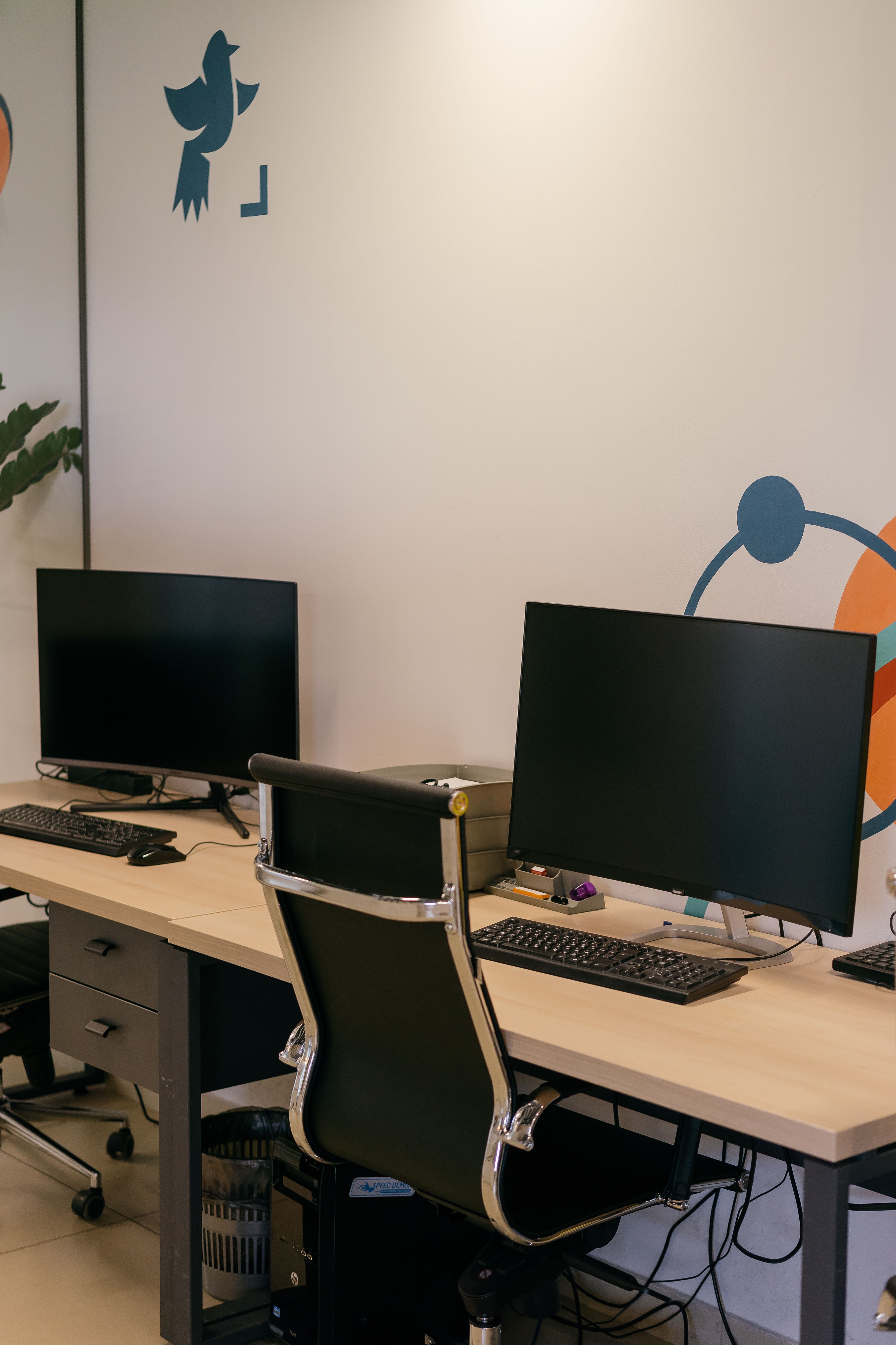 Reception & Common Areas